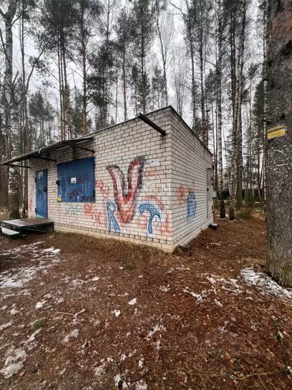 Торговая площадь в Владимирская область, Киржачский муниципальный ... - Фото 1