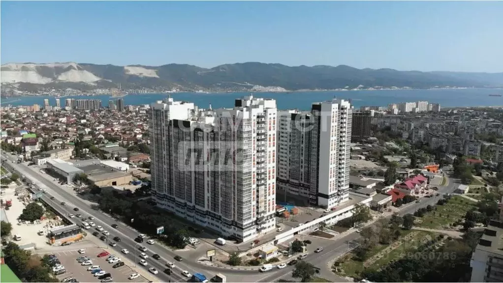Студия Краснодарский край, Новороссийск ул. Куникова, 55к2 (31.7 м) - Фото 0