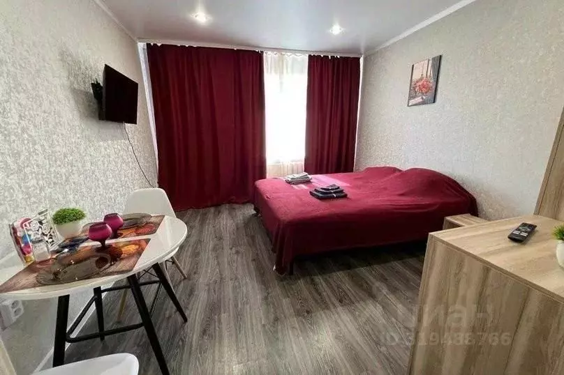 1-к кв. Татарстан, Казань Молодежная ул., 8 (18.0 м) - Фото 1