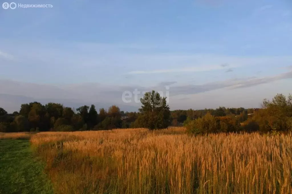 Участок в муниципальное образование Пушкиногорье, деревня Подкрестье ... - Фото 1