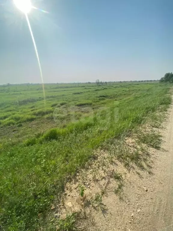 Участок в Амурская область, Благовещенск Игнатьевское ш., 7 (11.0 ... - Фото 1