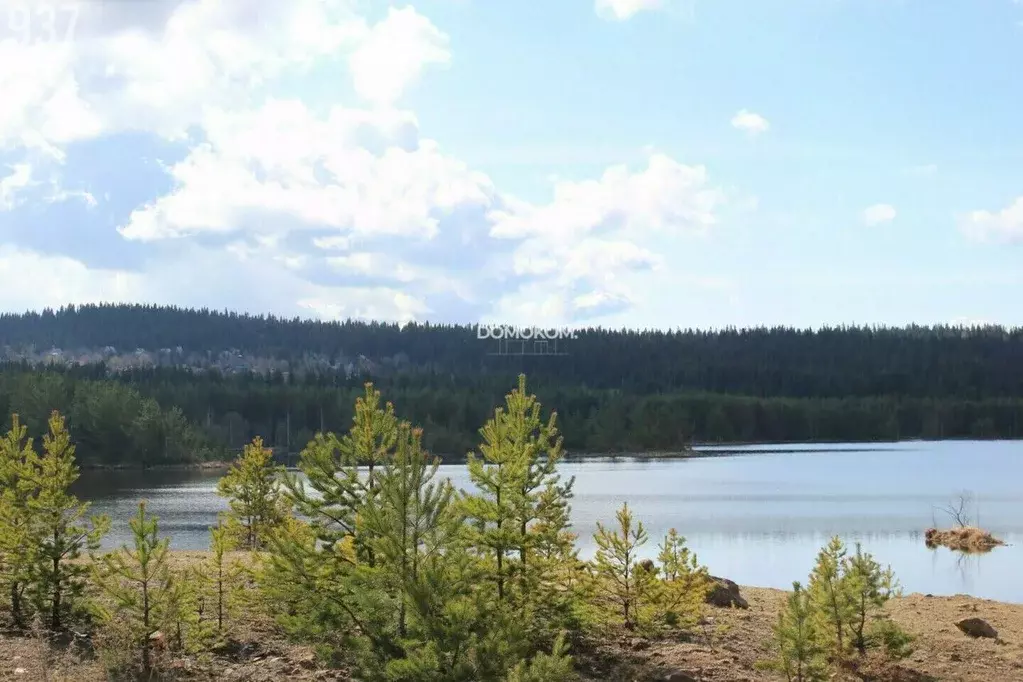 Участок в Свердловская область, Нижний Тагил муниципальный округ, пос. ... - Фото 2