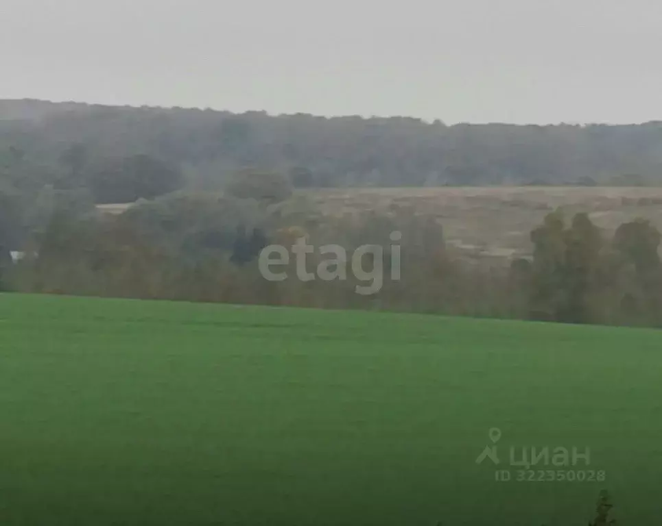 Участок в Калужская область, Перемышльский район, Ахлебинино с/пос, д. ... - Фото 1