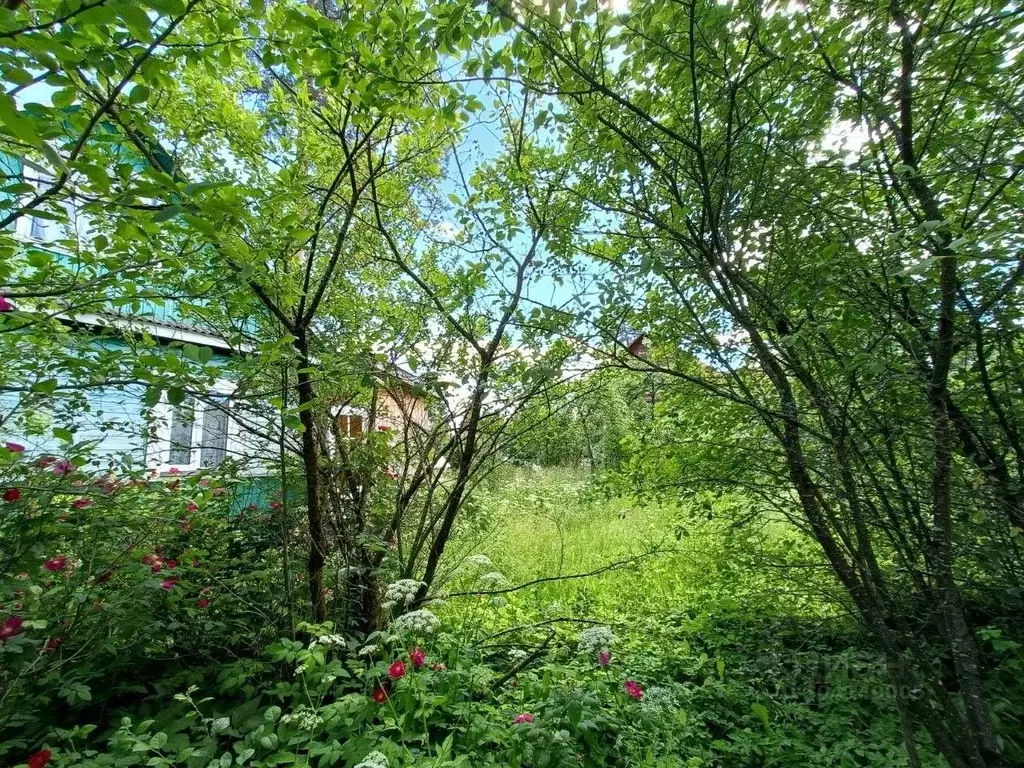 Дом в Ленинградская область, Гатчинский район, Вырица городской ... - Фото 1