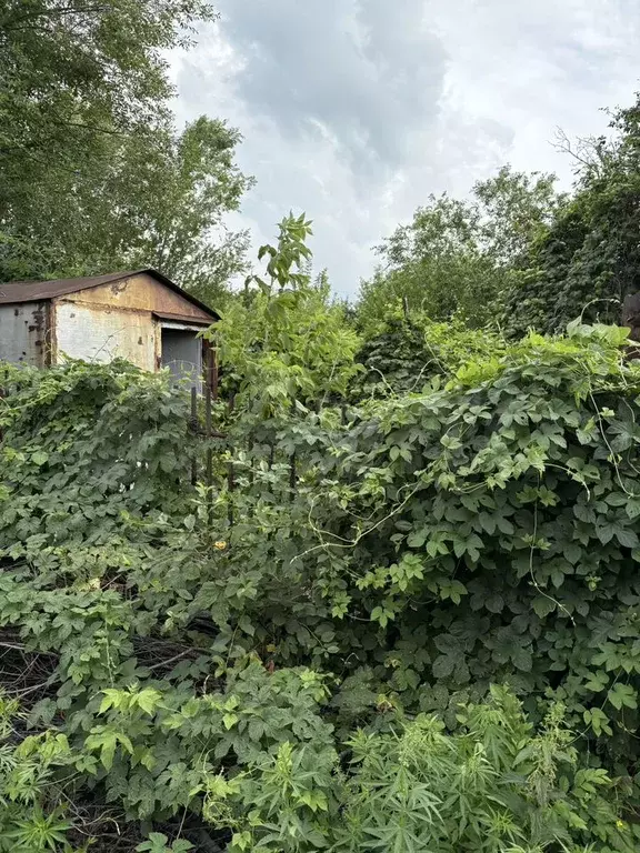 Участок 6,4 сот. (ИЖС) - Фото 1