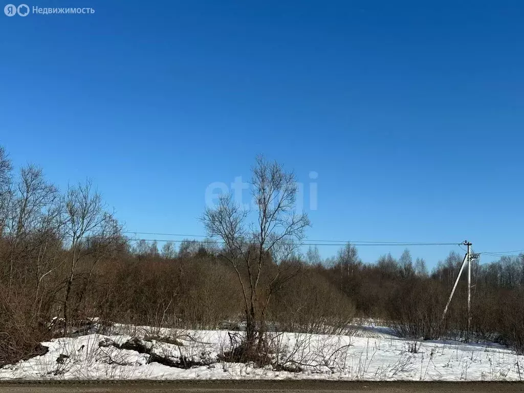 Участок в Ярославский муниципальный округ, деревня Бузаркино (11 м) - Фото 2