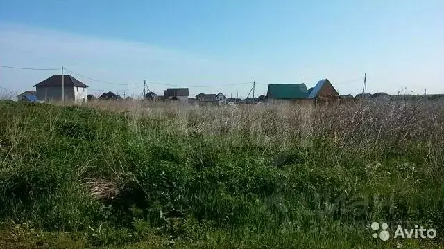 Участок в Пермский край, Пермский муниципальный округ, Мокино-3 кп  ... - Фото 1