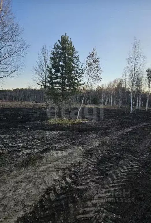 Участок в Тюменская область, Тюменский район, д. Головина  (40.0 сот.) - Фото 1