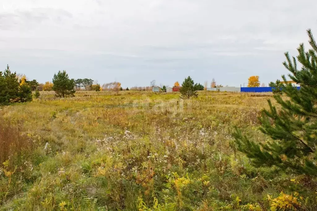 Участок в Тюменская область, Ишимский муниципальный округ, деревня ... - Фото 2