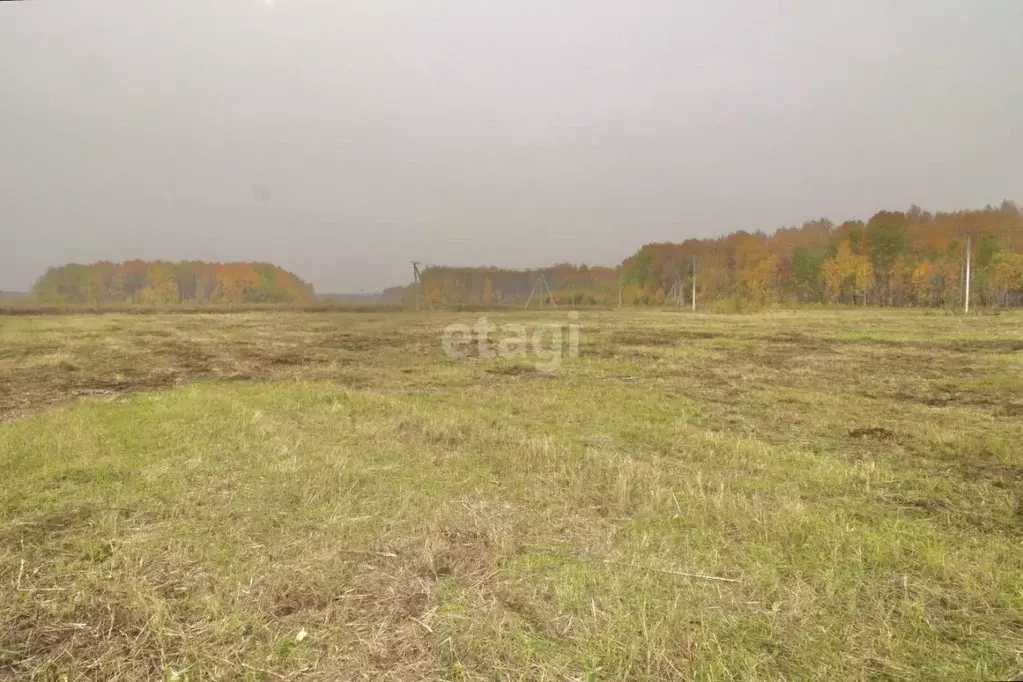 Участок в Тюменская область, Тюменский муниципальный округ, с. ... - Фото 1