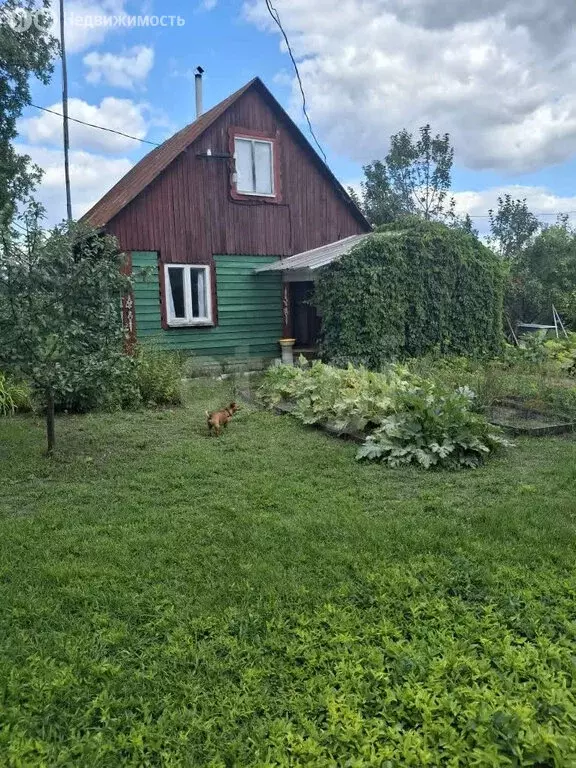 Дом в Курганская область, Белозерский муниципальный округ, СНТ ... - Фото 1