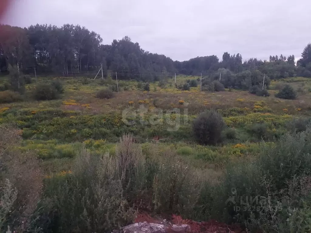 Участок в Брянская область, Брянский район, Снежское с/пос, с. ... - Фото 2