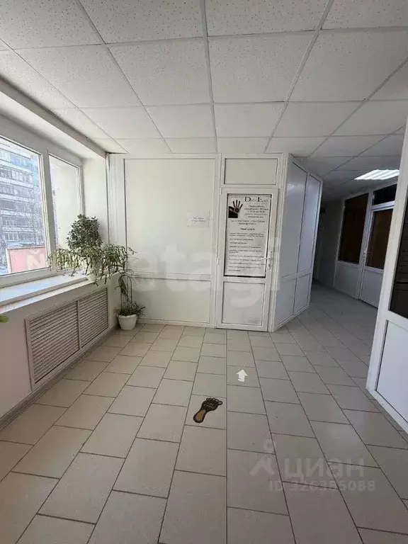 Торговая площадь в Брянская область, Брянск ул. Ромашина, 32 (157 м) - Фото 2