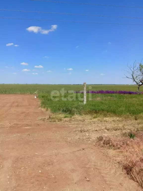 Участок в Крым, Сакский район, с. Молочное ул. Пионерская (6.0 сот.) - Фото 0