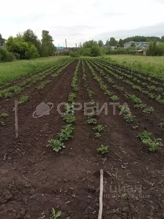 Участок в Тюменская область, Тюмень Торфяник-1 СНТ, 12 (62.0 сот.) - Фото 0