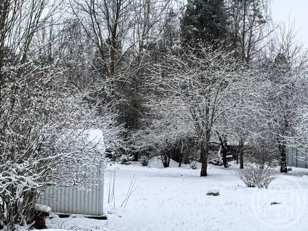 Участок в Ленинградская область, Гатчинский муниципальный округ, ... - Фото 1