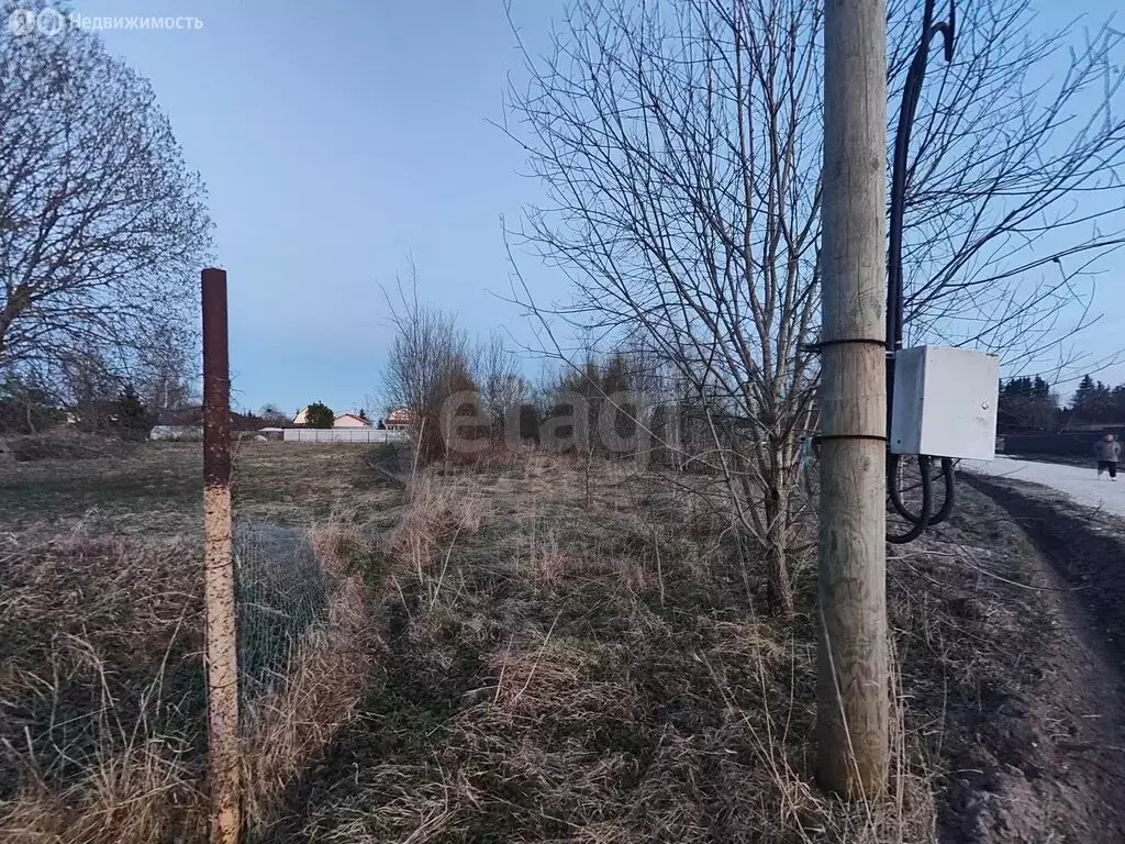 Участок в деревня Куровицы, Вырицкий проспект (15 м) - Фото 2