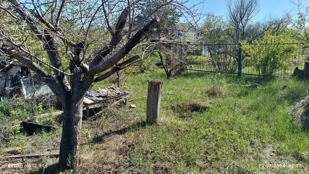 Участок в Волгоградская область, Городищенский район, Ерзовское ... - Фото 2