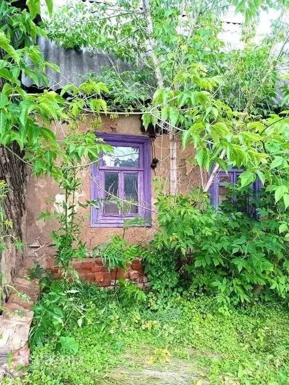 Дом в Белгородская область, Старооскольский городской округ, с. ... - Фото 1