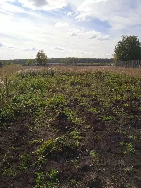 Участок в Свердловская область, Белоярский муниципальный округ, с. ... - Фото 1