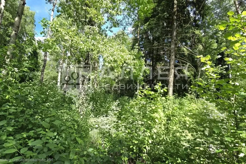 Участок в Московская область, Красногорск городской округ, д. ... - Фото 2