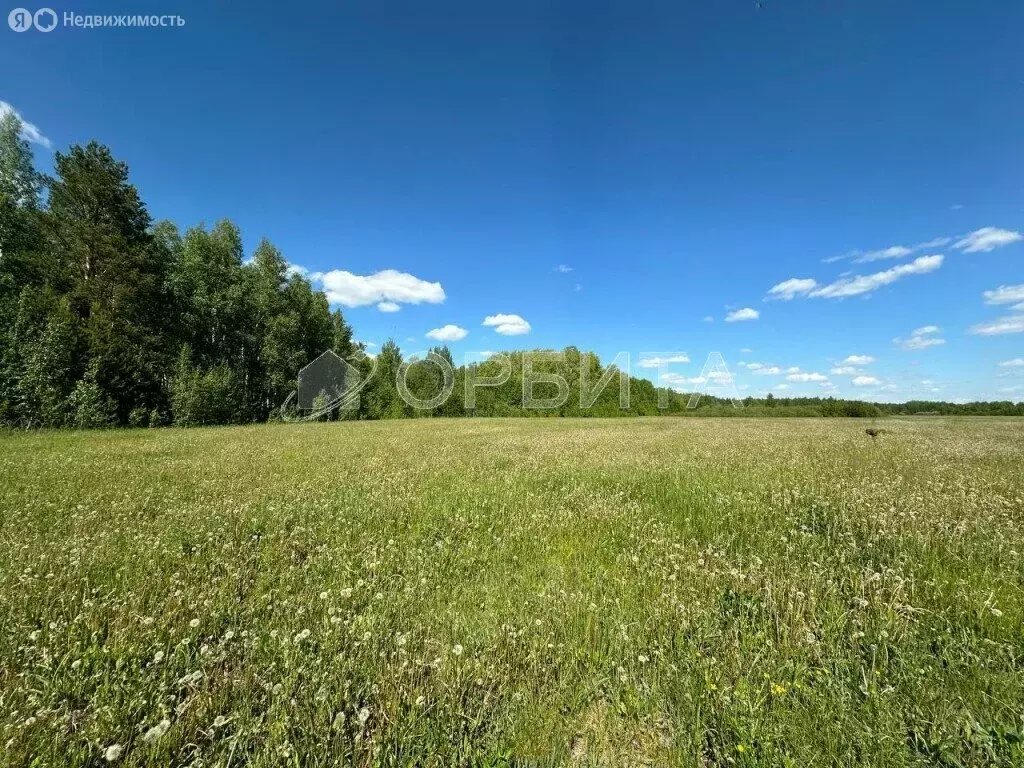 Участок в Свердловская область, посёлок городского типа Тугулым (16 м) - Фото 0