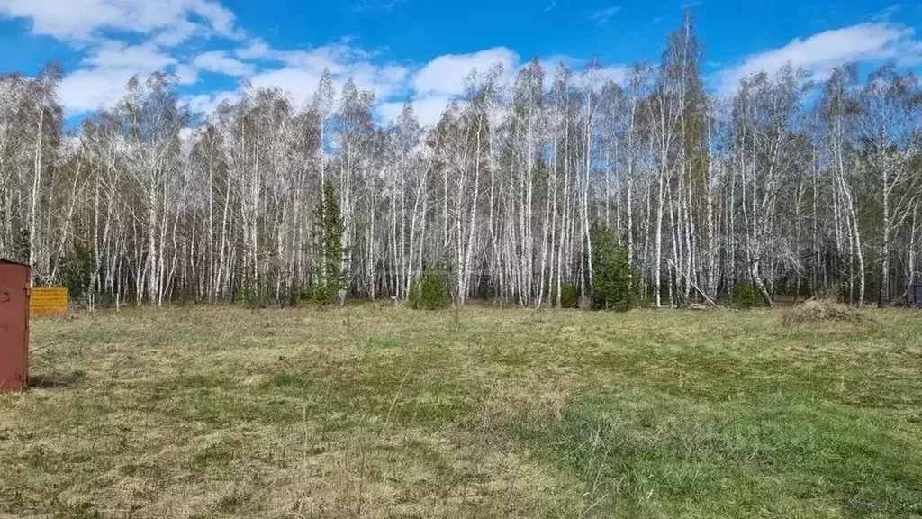 Участок в Тюменская область, Тюменский муниципальный округ, с. ... - Фото 1