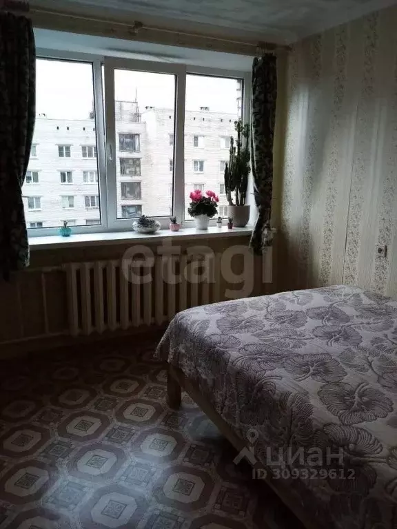 Комната Санкт-Петербург ул. Беринга, 32К2 (18.0 м) - Фото 0