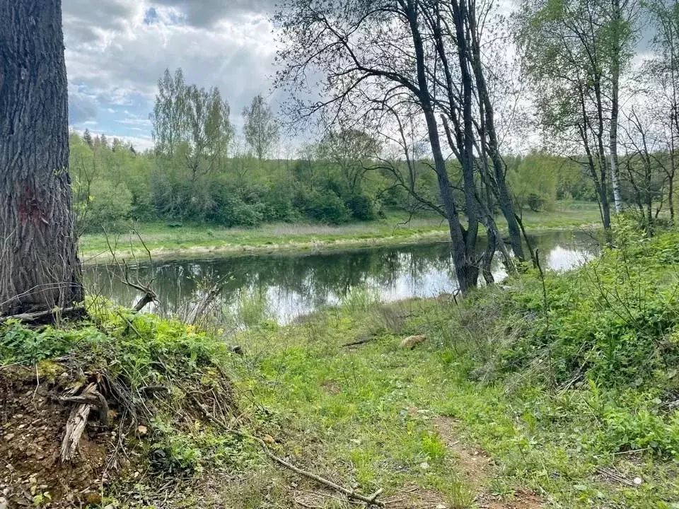 Участок в Московская область, Рузский городской округ, пос. ... - Фото 1