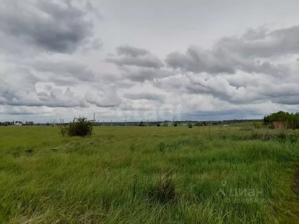 Участок в Саратовская область, Балашовский район, Хоперское ... - Фото 0