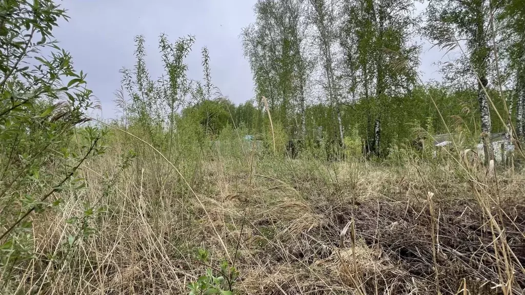 Участок в Новосибирская область, Новосибирский район, Криводановский ... - Фото 0