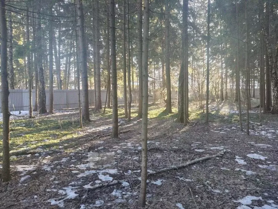 Участок в Московская область, Одинцовский городской округ, пос. НИИ ... - Фото 0