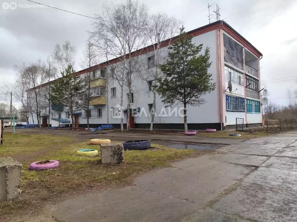 2-комнатная квартира: село Березовка, Красноармейская улица, 117 (54.5 ... - Фото 0
