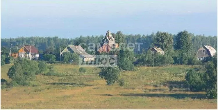 Участок в Владимирская область, Александровский район, Андреевское ... - Фото 0