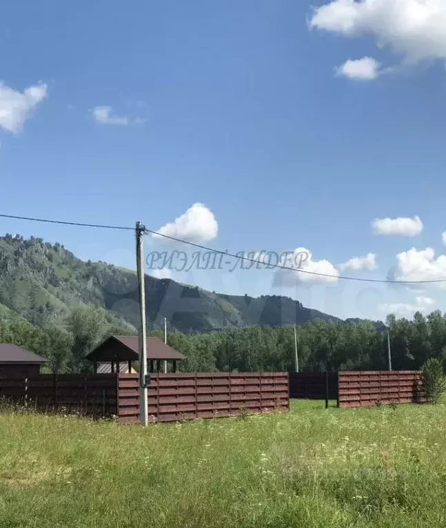 Участок в Алтай, Майминский район, Соузгинское с/пос, пос. Черемшанка  ... - Фото 1