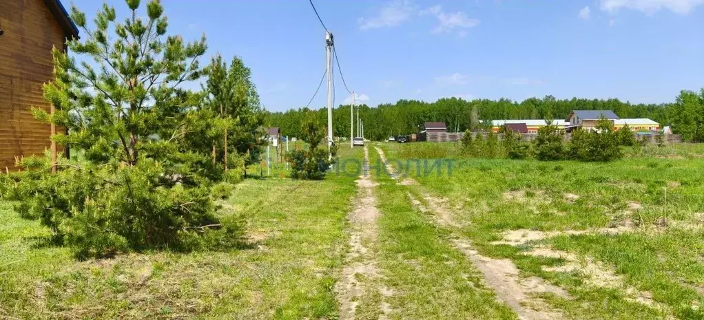Участок в Нижегородская область, Богородский муниципальный округ, д. ... - Фото 1