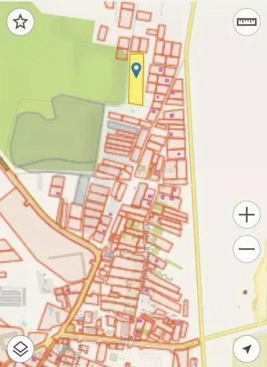 Участок в Псковская область, Псковский район, Тямшанская волость, д. ... - Фото 1