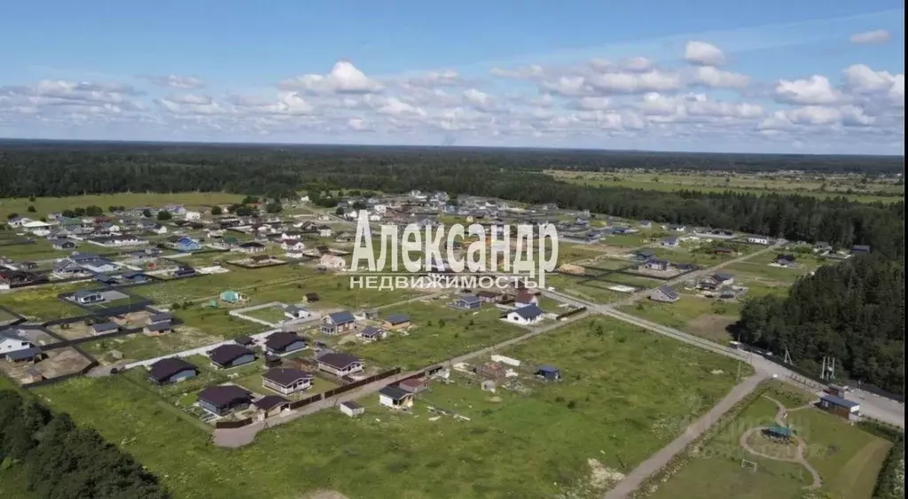 Участок в Ленинградская область, Волосовский район, Клопицкое с/пос, ... - Фото 2