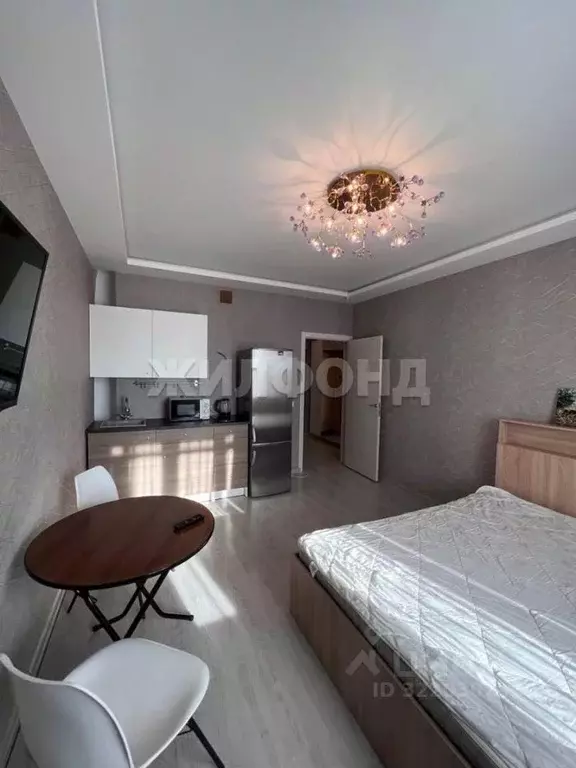 1-к кв. Новосибирская область, Новосибирск ул. Фрунзе, 20 (27.0 м) - Фото 0
