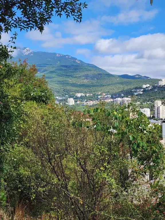 Участок в Крым, Ялта ул. Орлиная, 5 (8.0 сот.) - Фото 0
