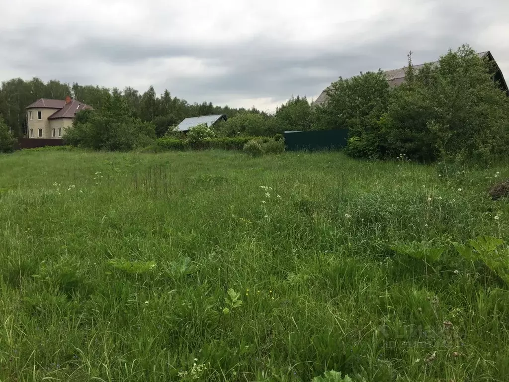 Участок в Московская область, Пушкинский городской округ, д. Дарьино  ... - Фото 1
