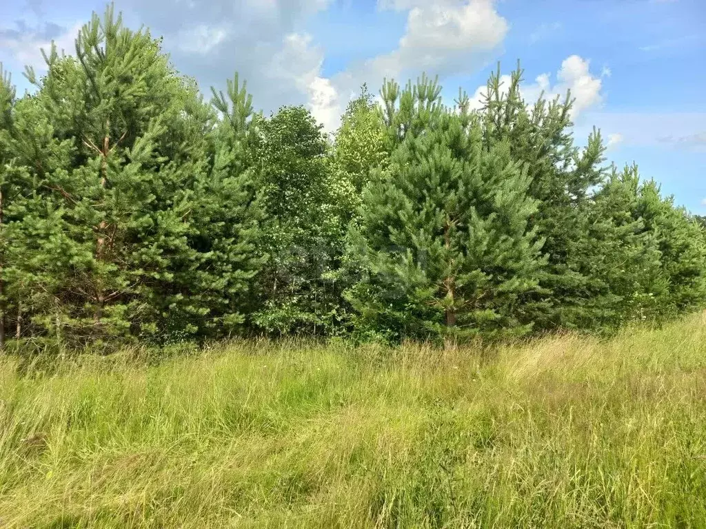 Участок в Ярославская область, Угличский муниципальный округ, ... - Фото 1