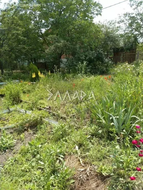 Участок в Ростов-на-Дону, Каскадная улица (14 м) - Фото 0