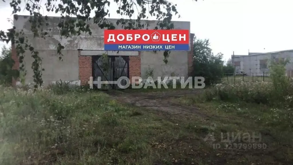 Помещение свободного назначения в Омская область, Горьковское рп ул. ... - Фото 2