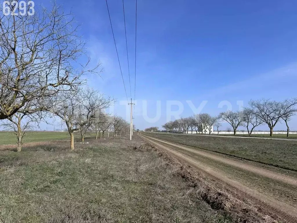 Участок в Крым, Сакский район, с. Молочное ул. Садовая (1100.0 сот.) - Фото 2