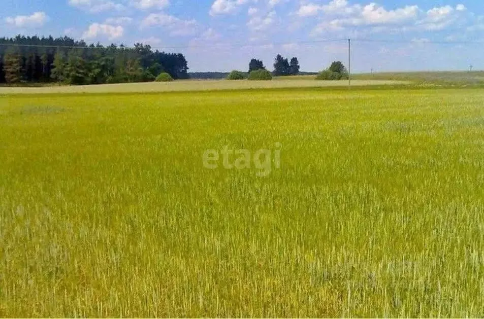 Участок в Свердловская область, Махнево пгт  (2100.0 сот.) - Фото 1