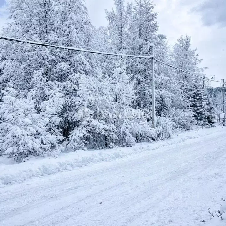 Участок в Ленинградская область, Всеволожский район, Сертоловское ... - Фото 1
