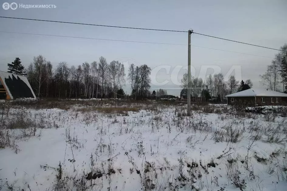 Участок в Тюнево, территория Ямановское (15 м) - Фото 1
