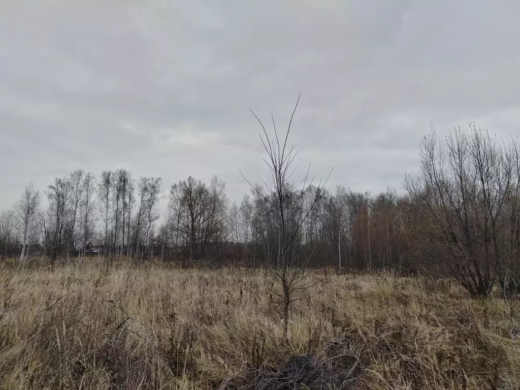 Участок в Московская область, Чехов муниципальный округ, Троицкое пгт  ... - Фото 0