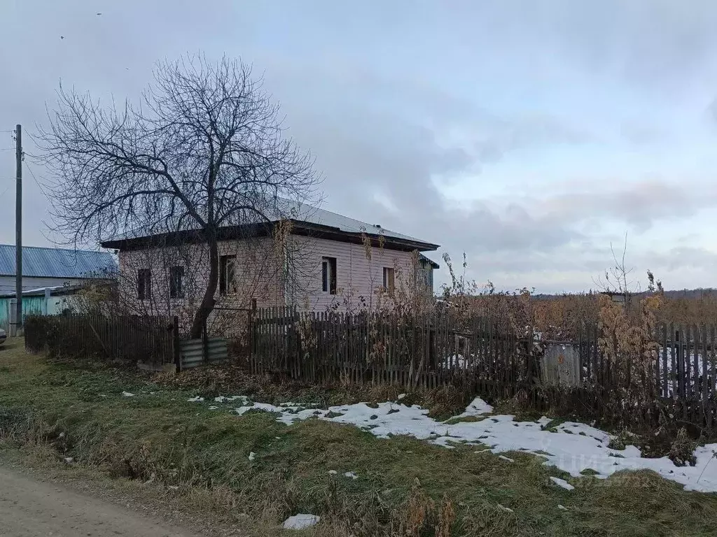 Дом в Новосибирская область, Колыванский район, д. Амба Молодежная ... - Фото 1